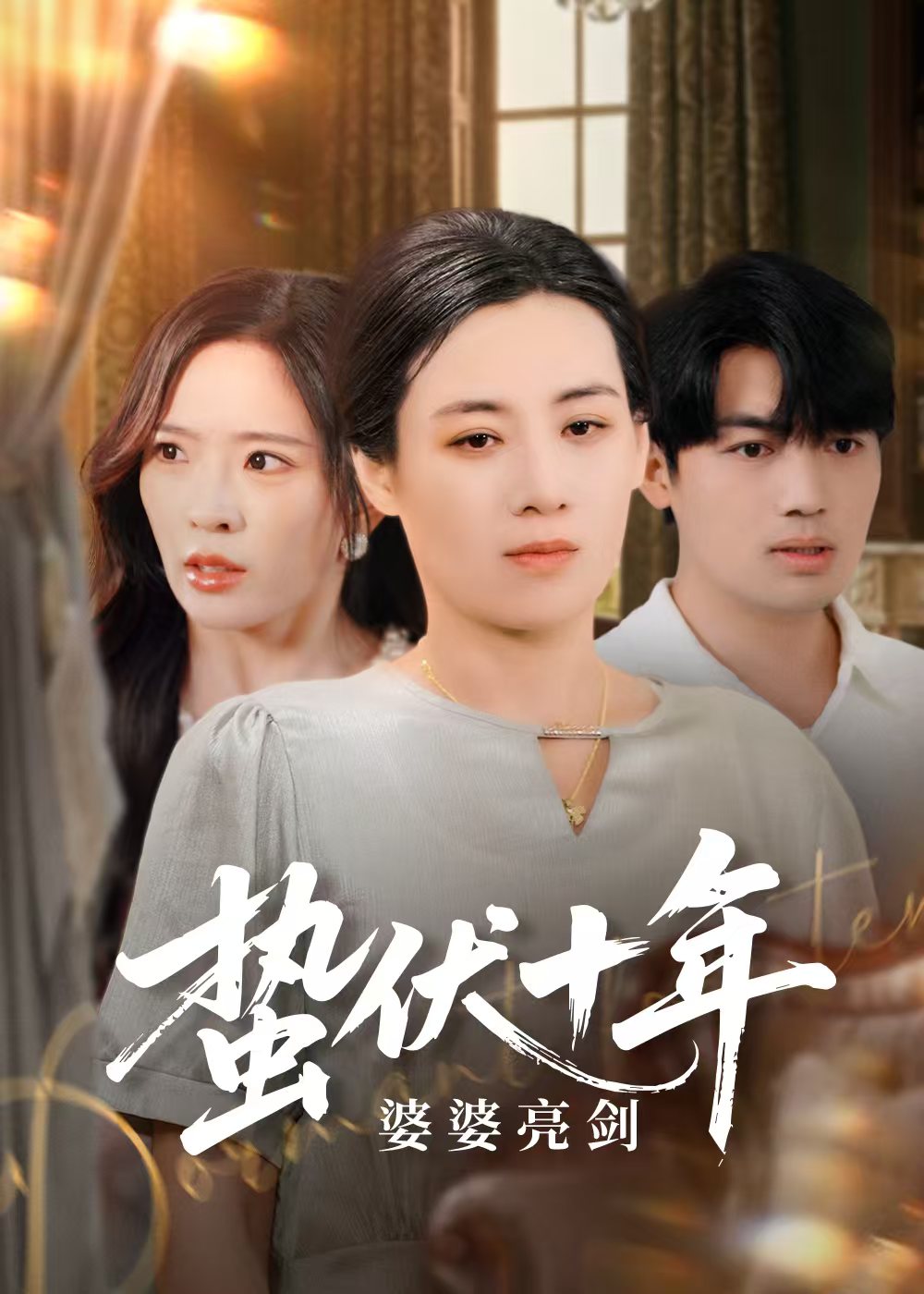 蛰伏十年婆婆亮剑全集