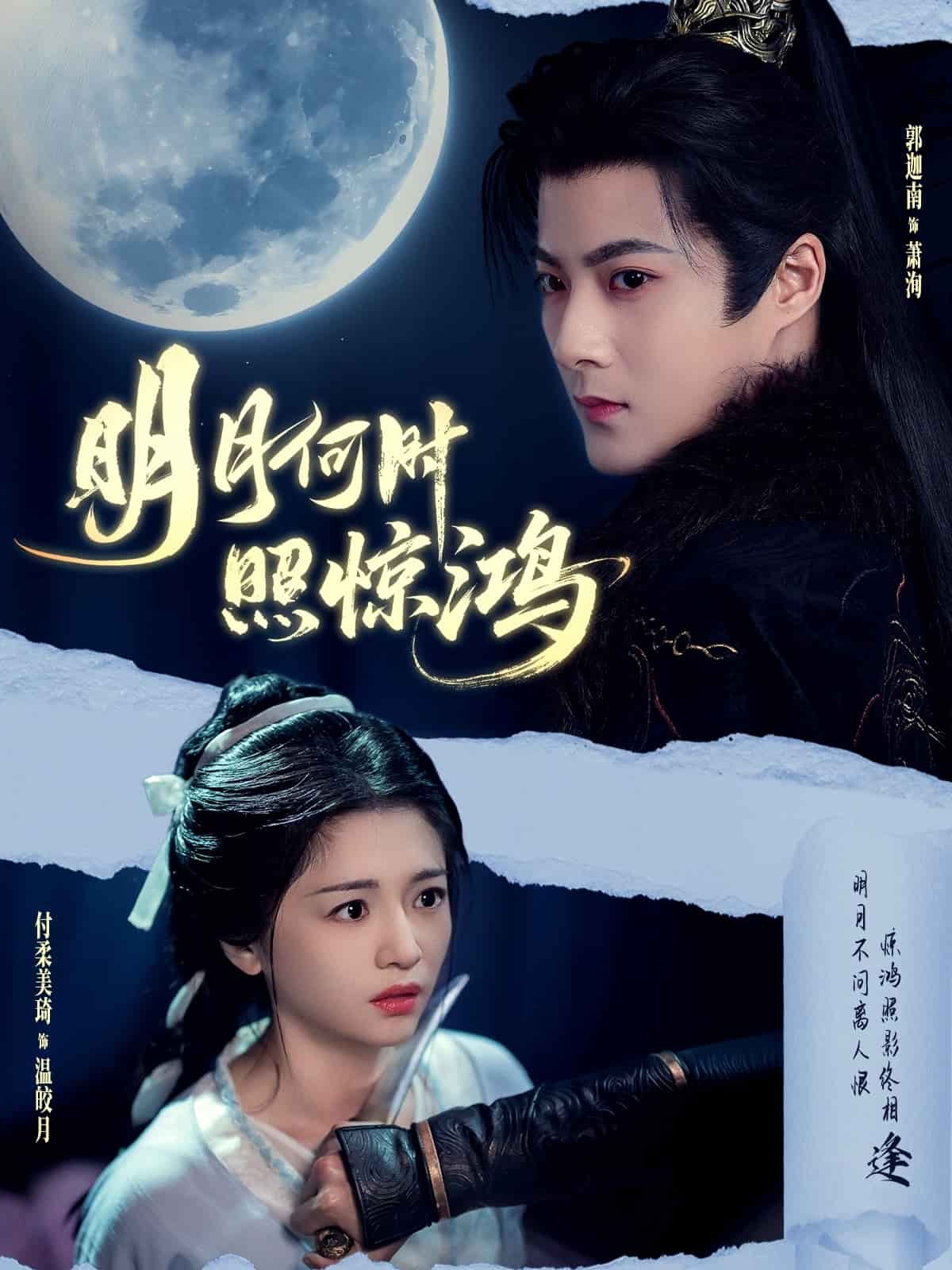 明月何时照惊鸿全集