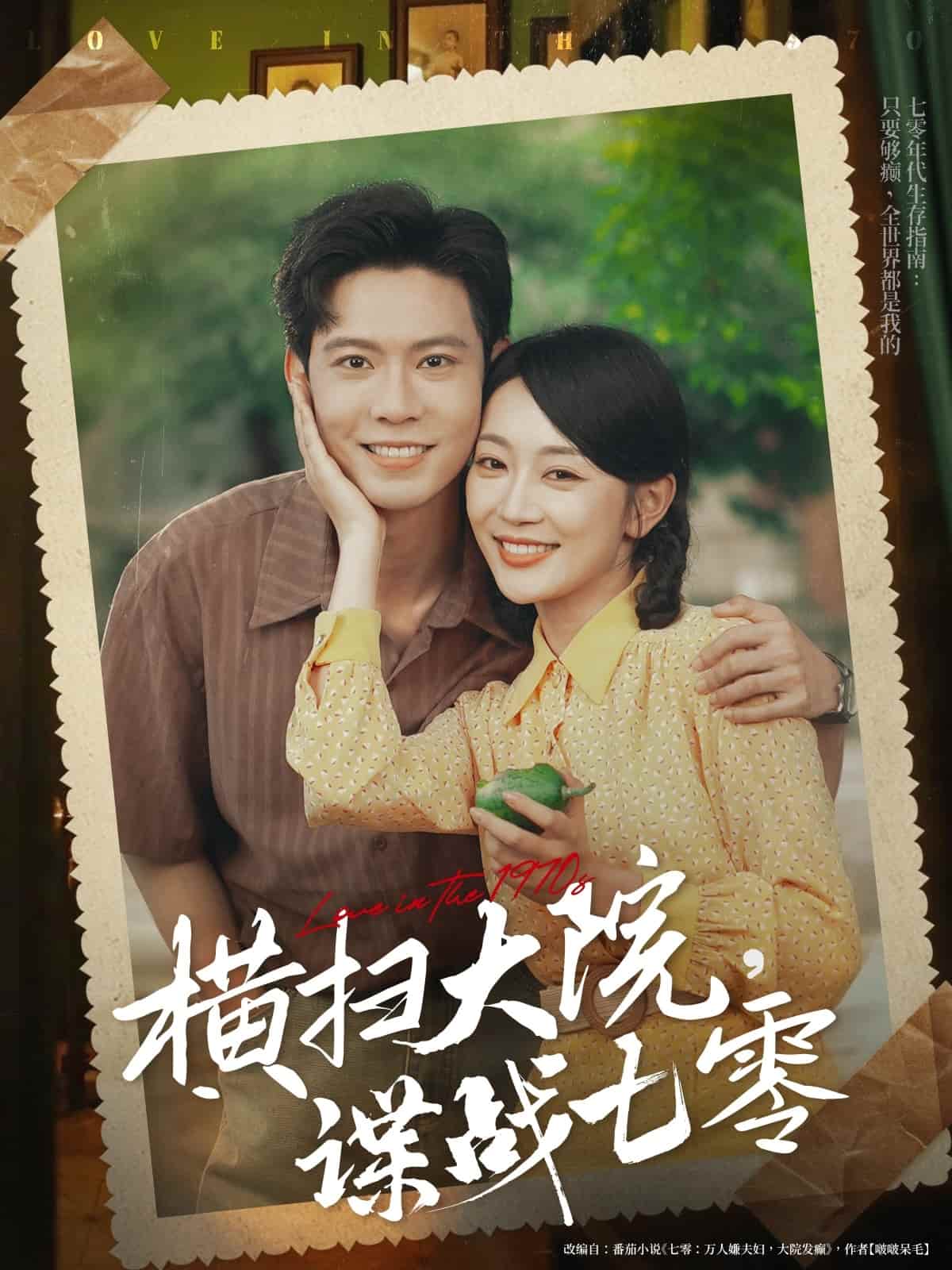 横扫大院谍战七零全集