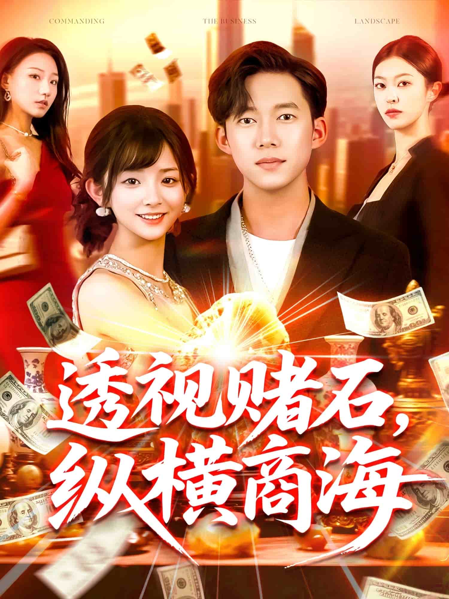 透视赌石，纵横商海全集