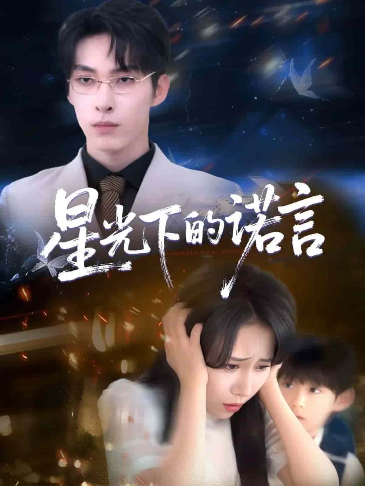 星光下的诺言全集