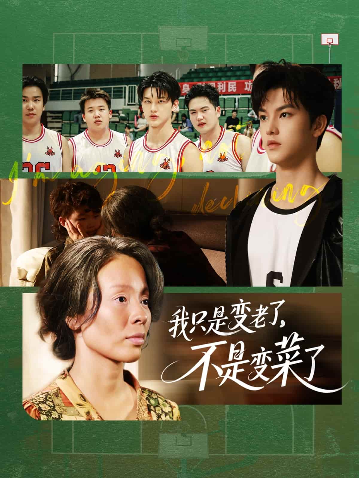 我只是变老了，不是变菜了全集