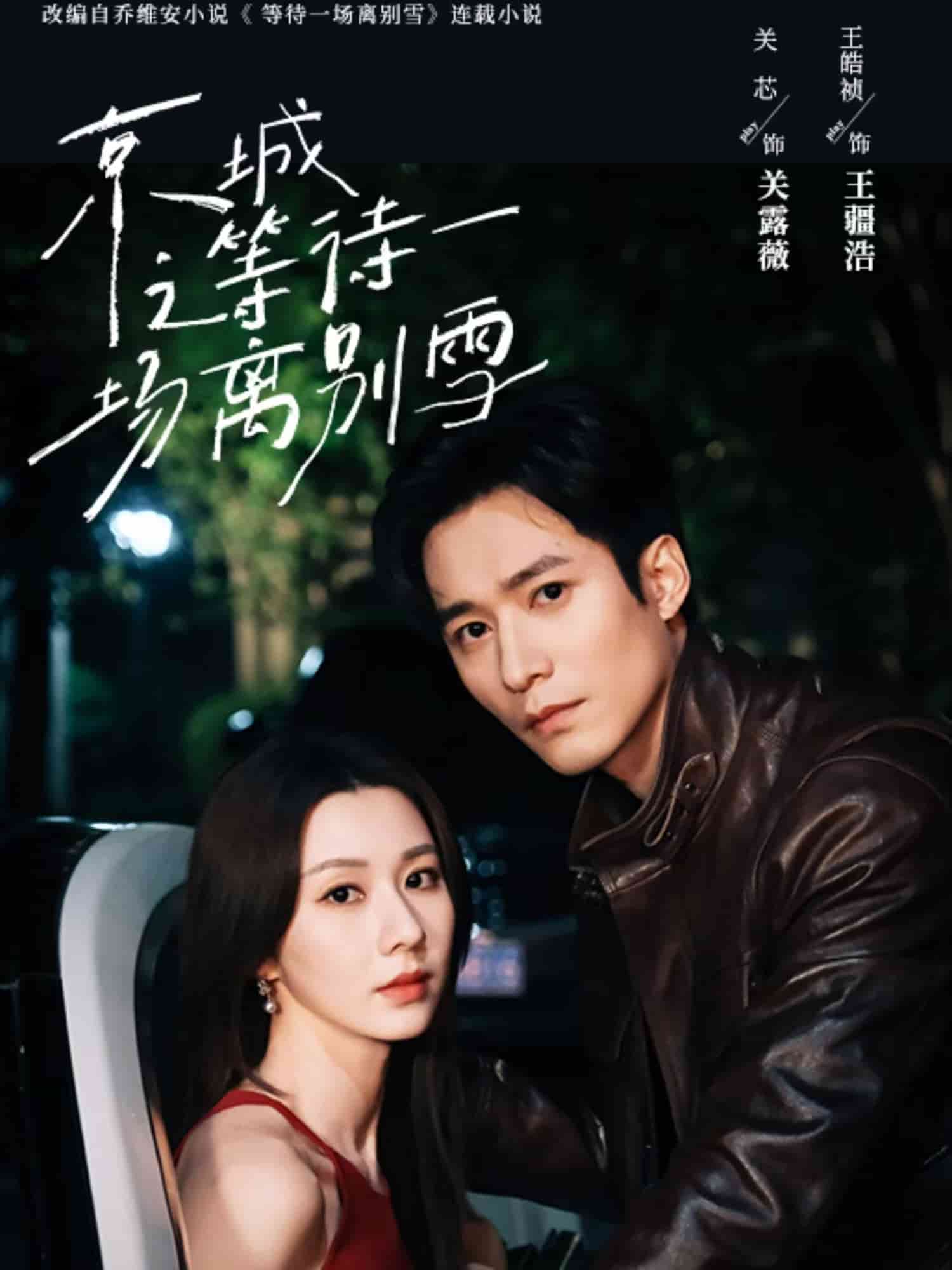京城之等待一场离别雪全集