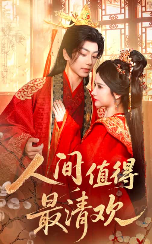 人间值得最清欢全集