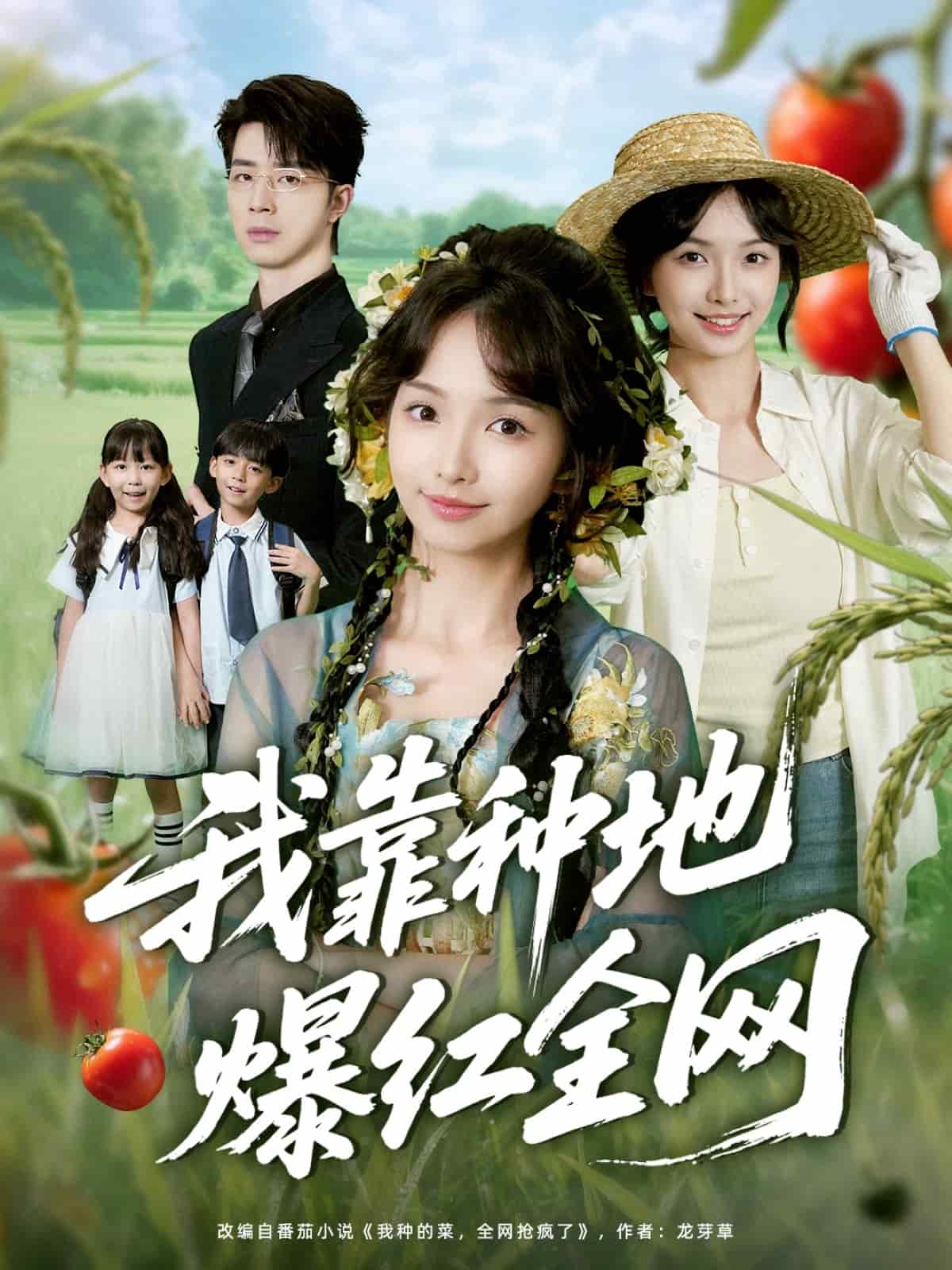 我靠种地爆红全网全集