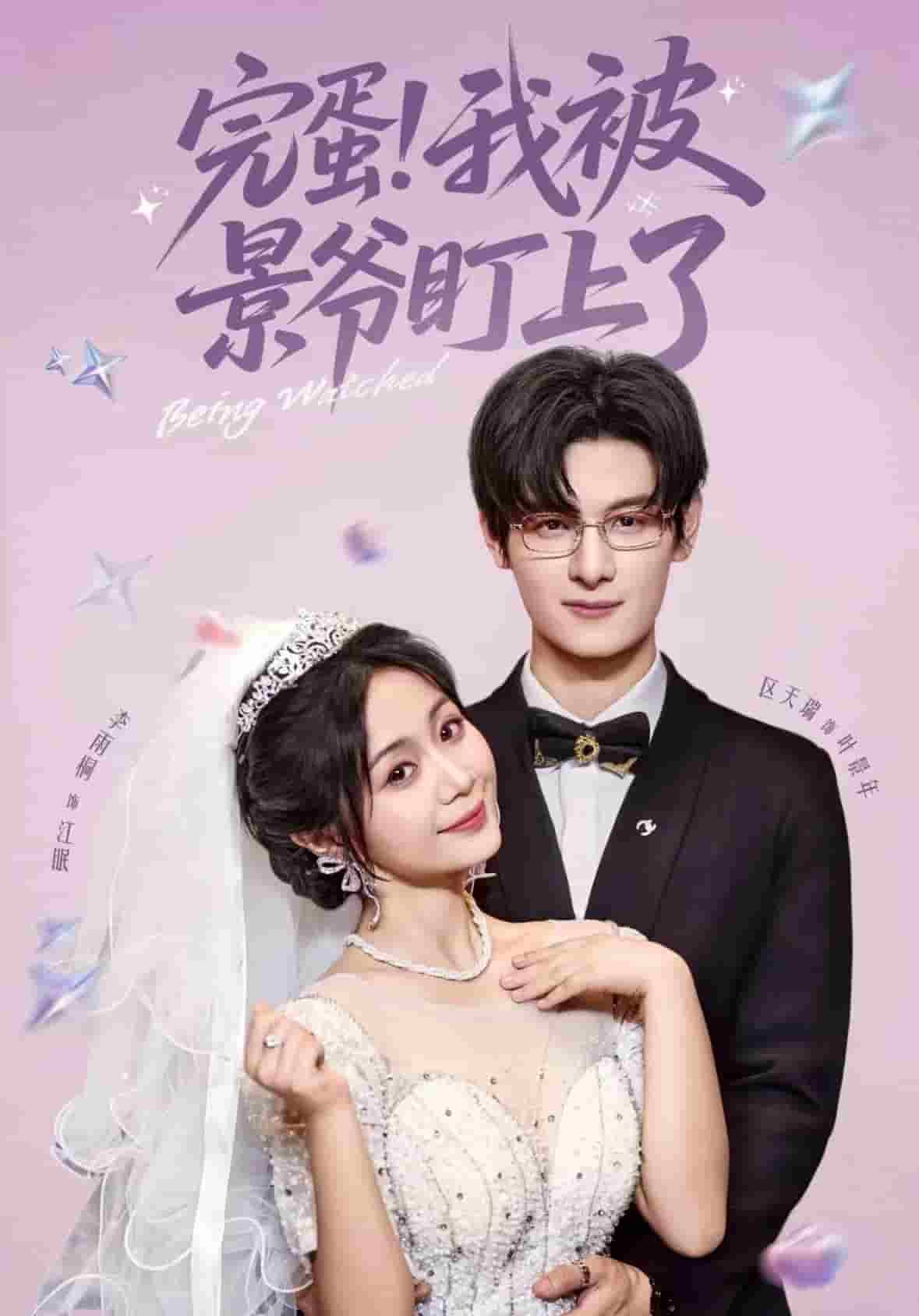 完蛋我被景爷盯上了全集