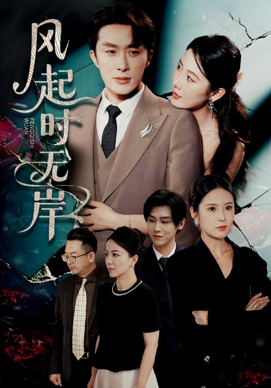 风起时无岸全集