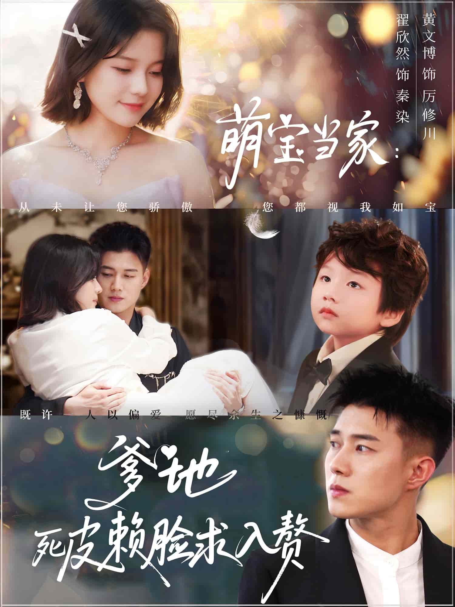 萌宝当家爹地死皮赖脸求入赘全集