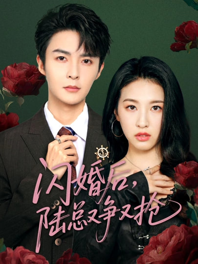 闪婚后陆总又争又抢全集