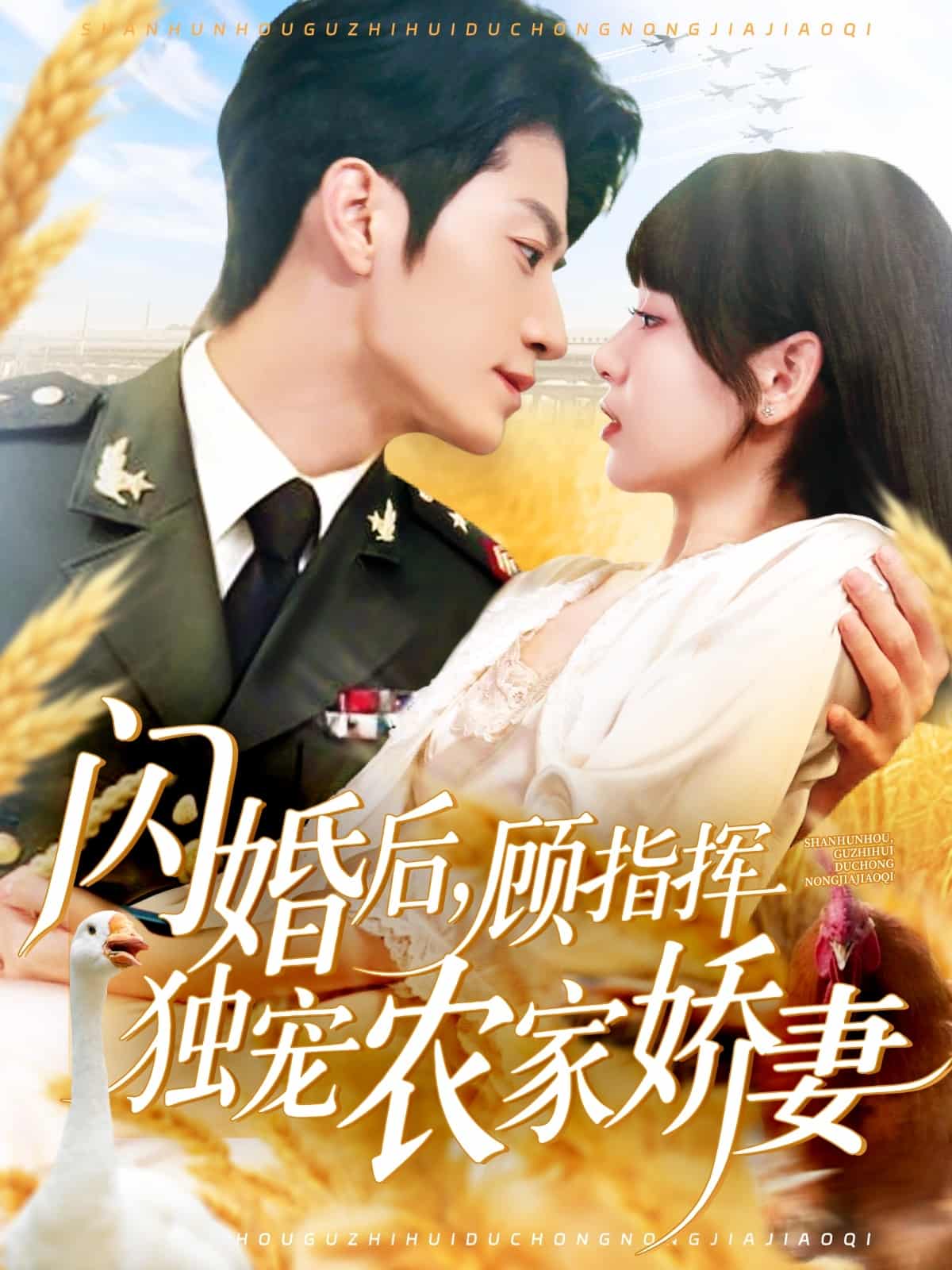 闪婚后顾指挥独宠农家娇妻全集