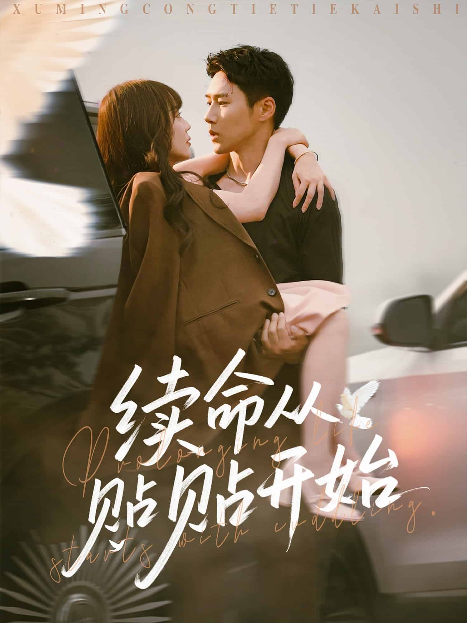 续命从贴贴开始全集