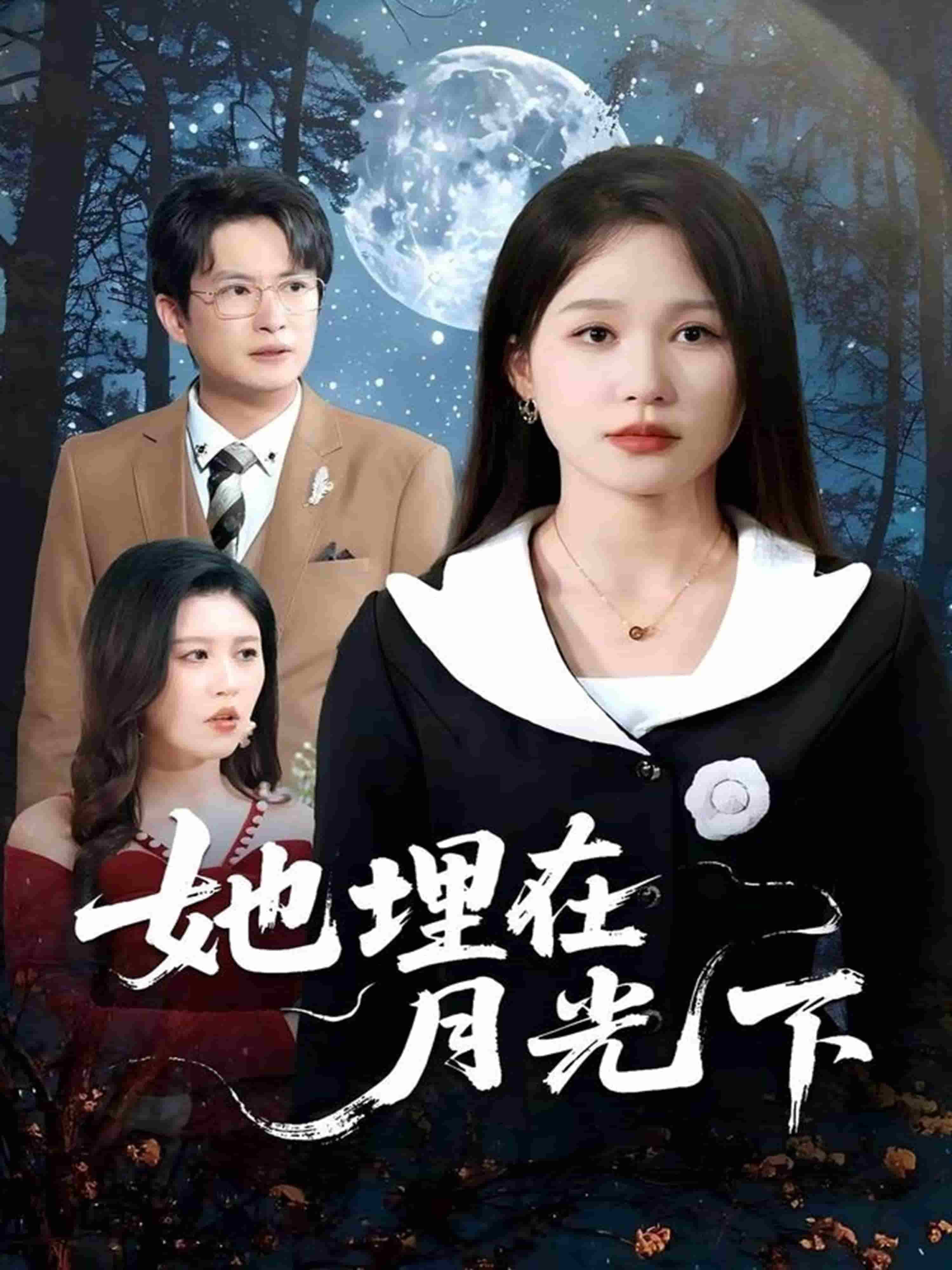 她埋在月光下全集