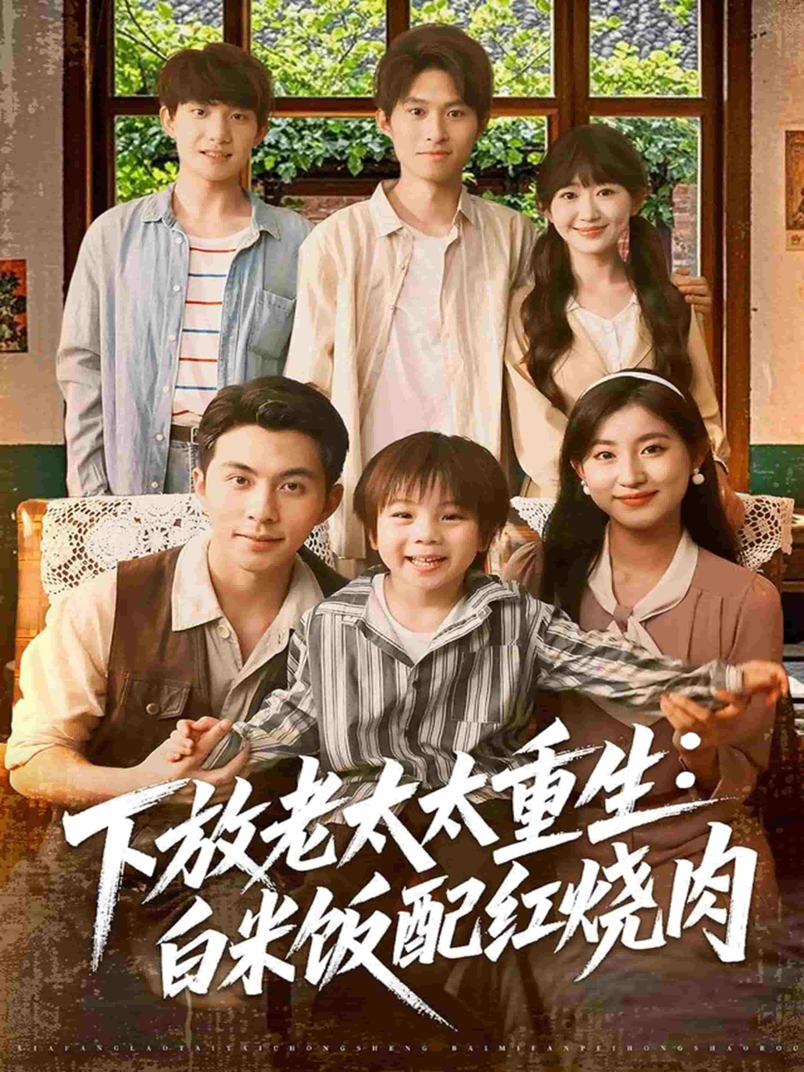 下放老太太重生白米饭配红烧肉全集