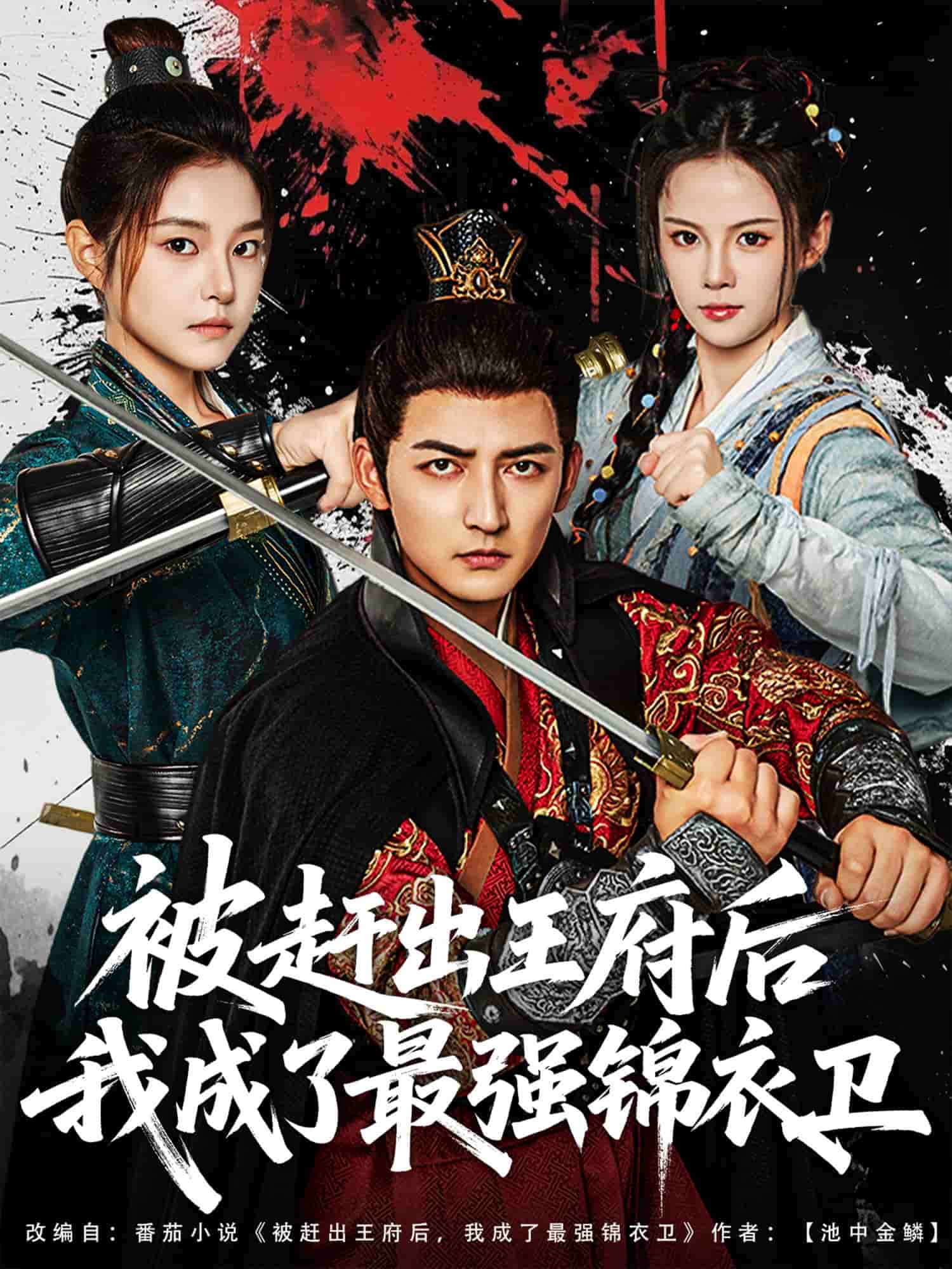 被赶出王府后我成了最强锦衣卫全集