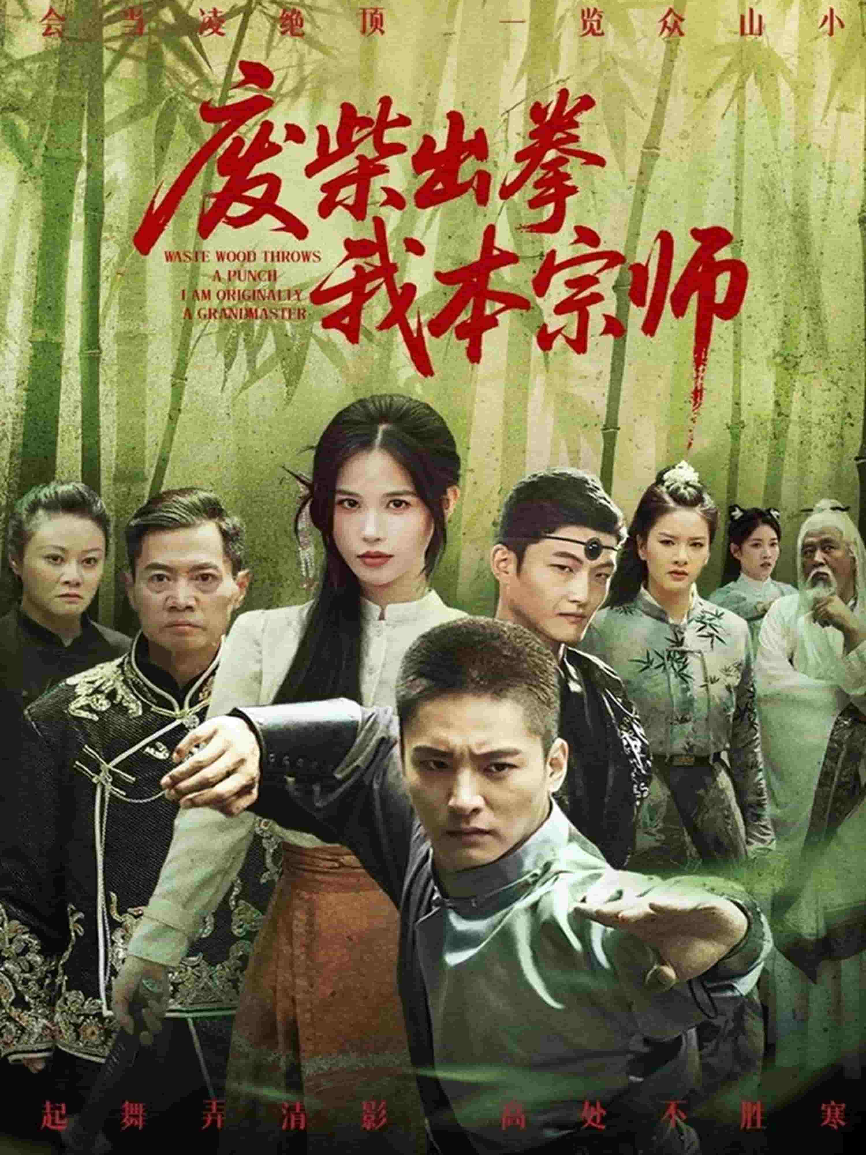 废柴出拳我本宗师全集