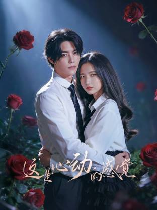 这就是心动的感觉全集