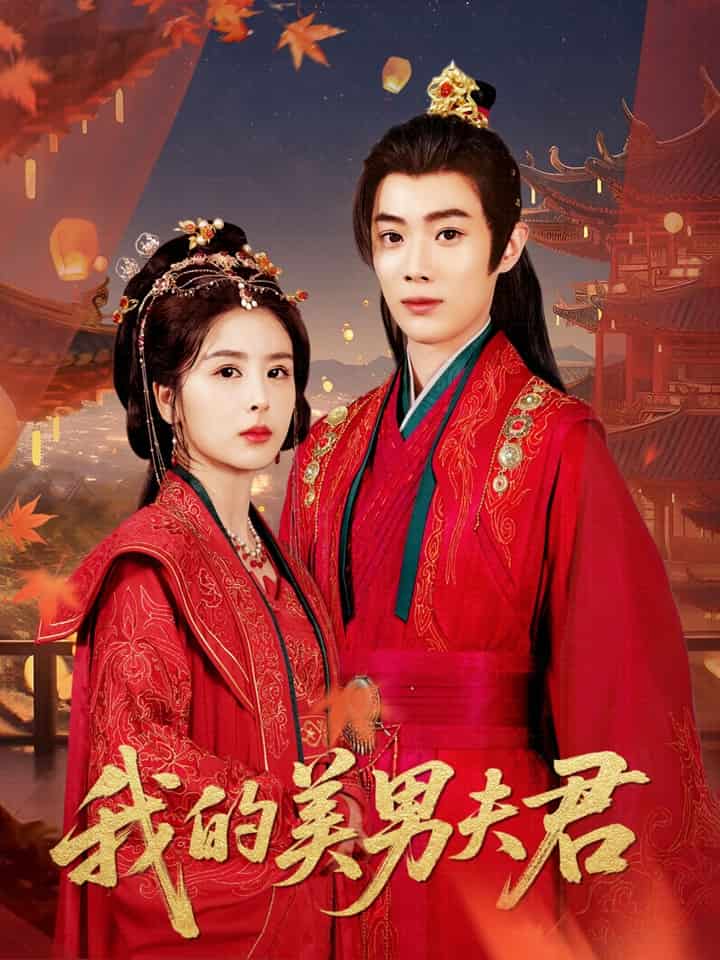 我的美男夫君全集