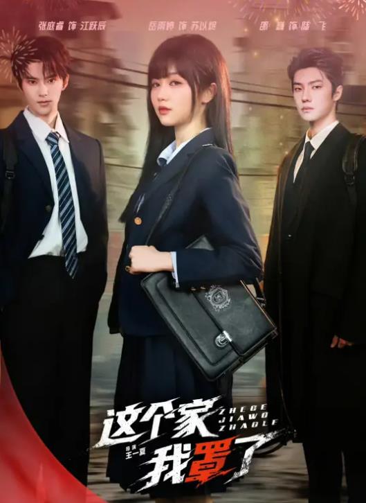 这个家我罩了全集