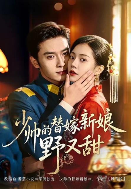 少帅的替嫁新娘野又甜全集