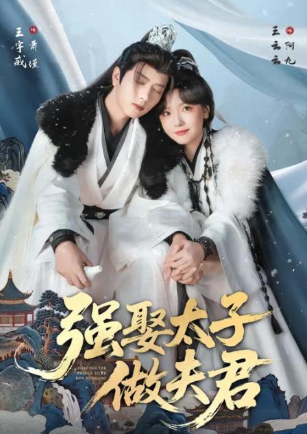 强娶太子做夫君全集