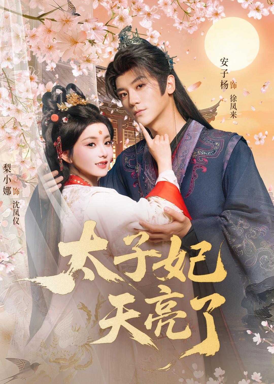 太子妃天亮了全集