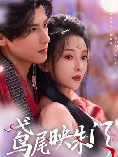 鸢尾映朱门全集