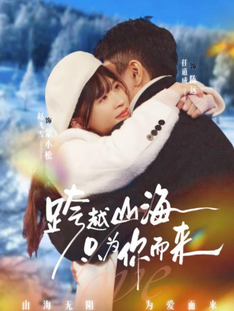 跨越山海只为你而来全集