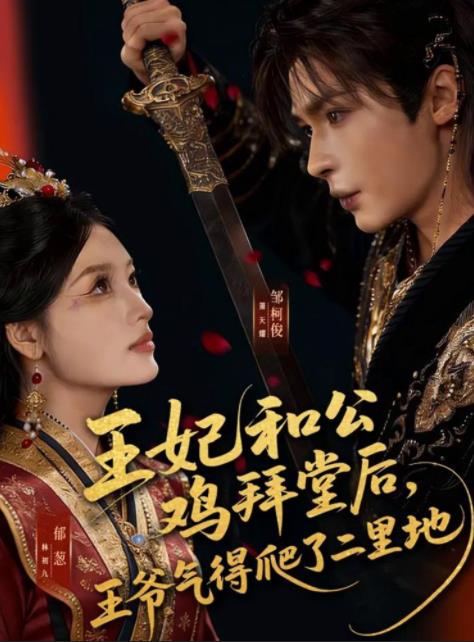 王妃和公鸡拜堂后，王爷气得爬了二里地全集