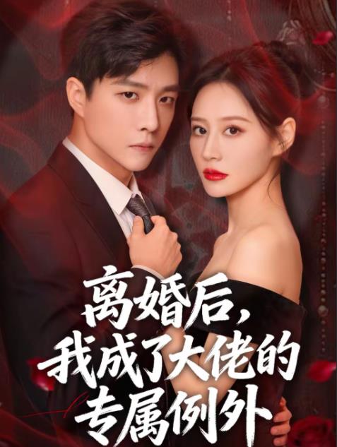 离婚后，我成了大佬的专属例外全集