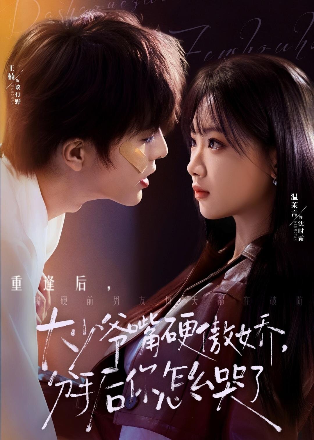 大少爷嘴硬傲娇，分手后你怎么哭了全集