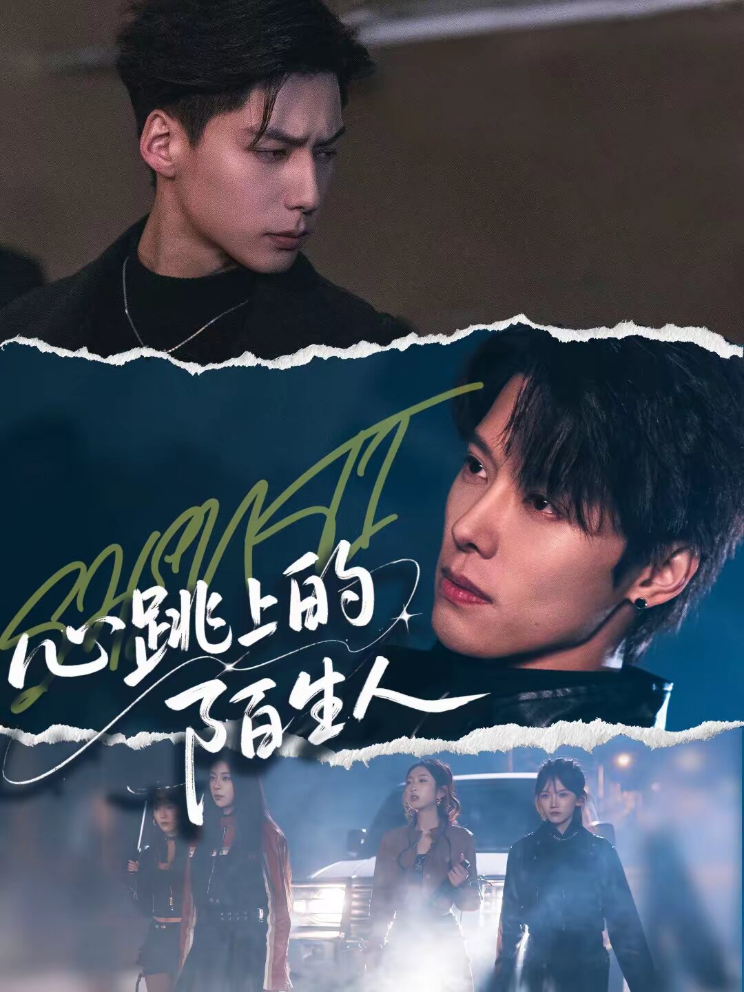 心跳上的陌生人全集