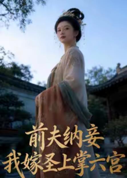 前夫纳妾，我嫁圣上掌六宫全集