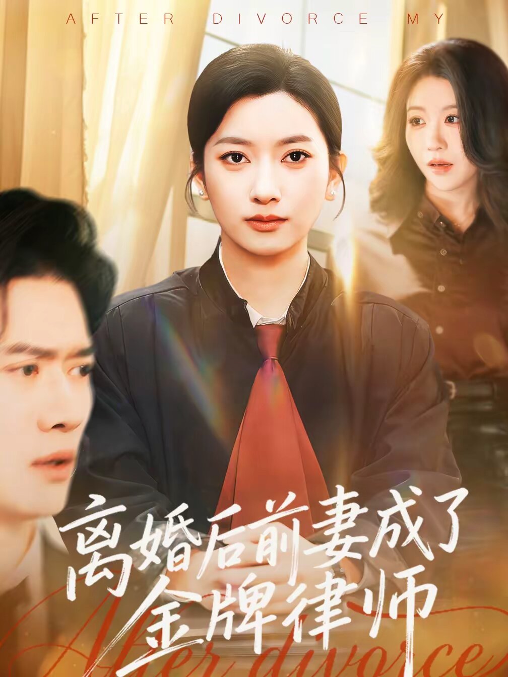 离婚后前妻成了金牌律师全集