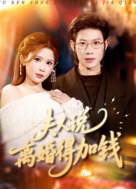 夫人说离婚得加钱全集