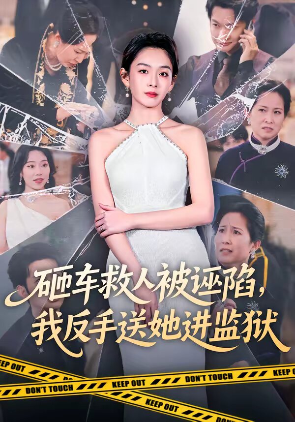 砸车救人被诬陷，我反手送她进监狱全集