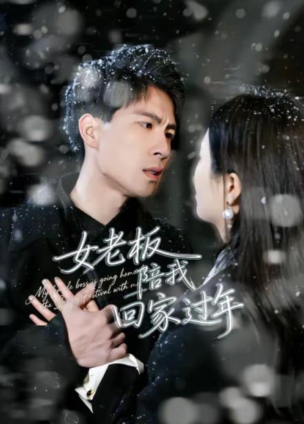 女老板陪我回家过年全集