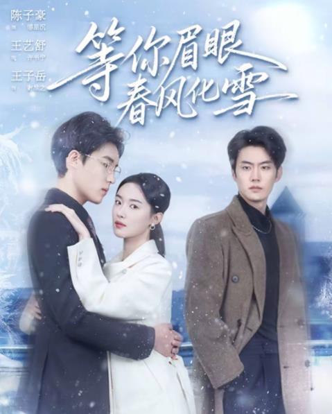 等你眉眼春风化雪全集