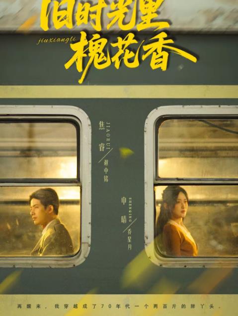 旧时光里槐花香全集