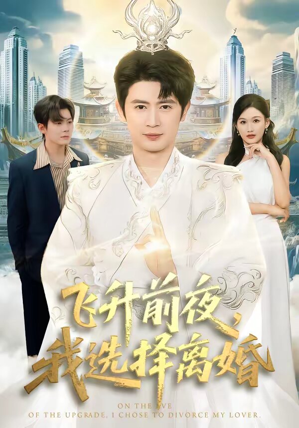 飞升前夜，我选择离婚全集