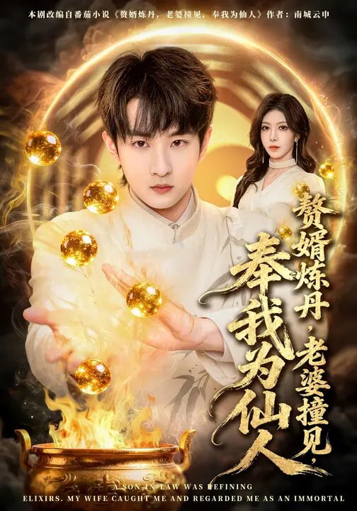 赘婿炼丹，老婆撞见，奉我为仙人全集