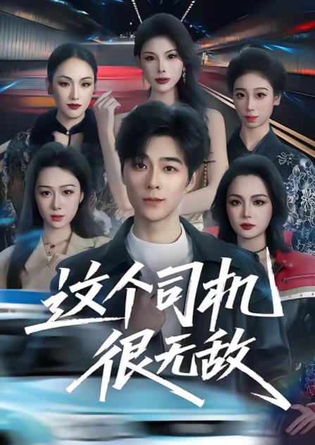 这个司机很无敌全集