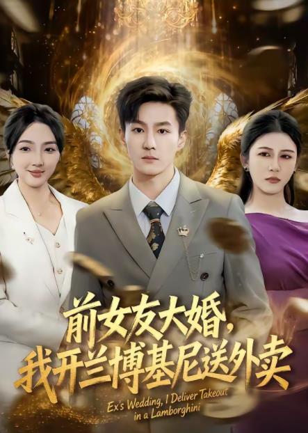 前女友大婚，我开兰博基尼送外卖全集