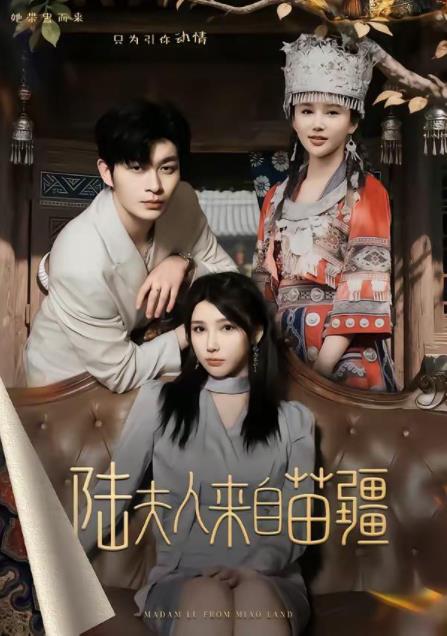 陆夫人来自苗疆全集