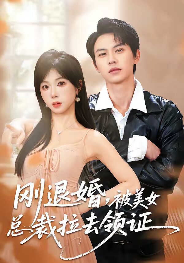刚退婚，被美女总裁拉去领证全集