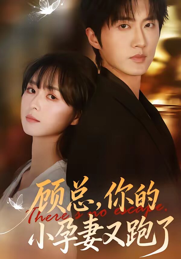 顾总，你的小孕妻又跑了全集