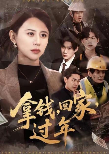 拿钱，回家，过年全集