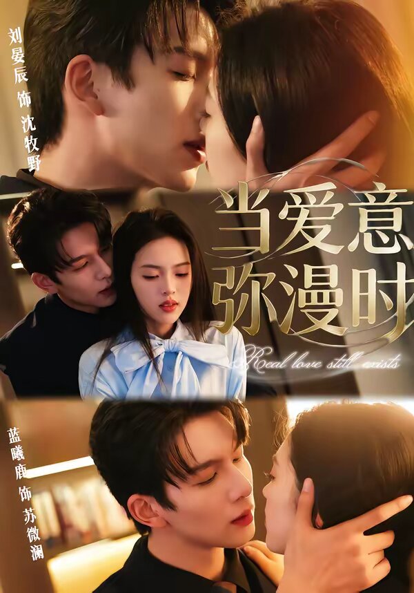 当爱意弥漫时全集