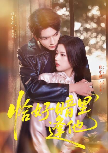恰好暗里逢他全集