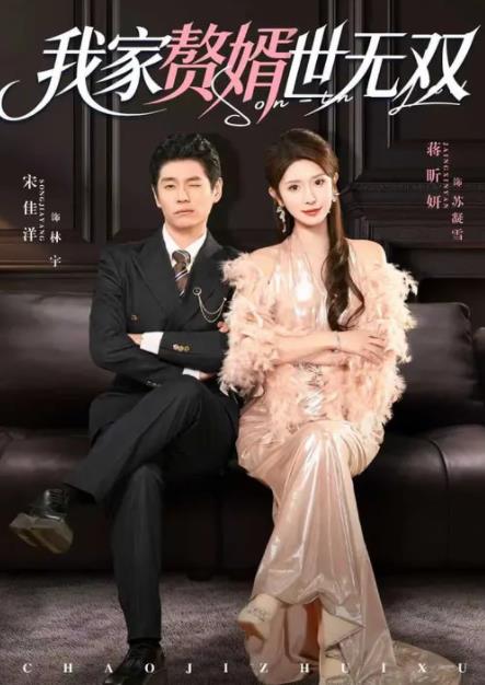 我家赘婿世无双全集