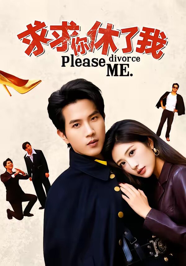 求求你休了我全集